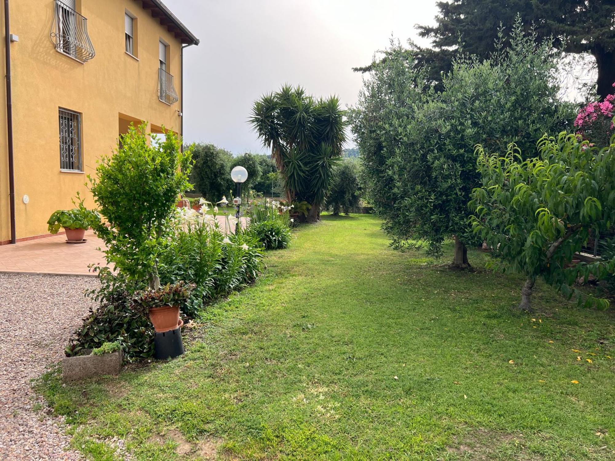 Agriturismo Il Giardino Degli Olivi Appartamenti กาส์ตีจลิโอเน เดลลา เปสกายา ภายนอก รูปภาพ