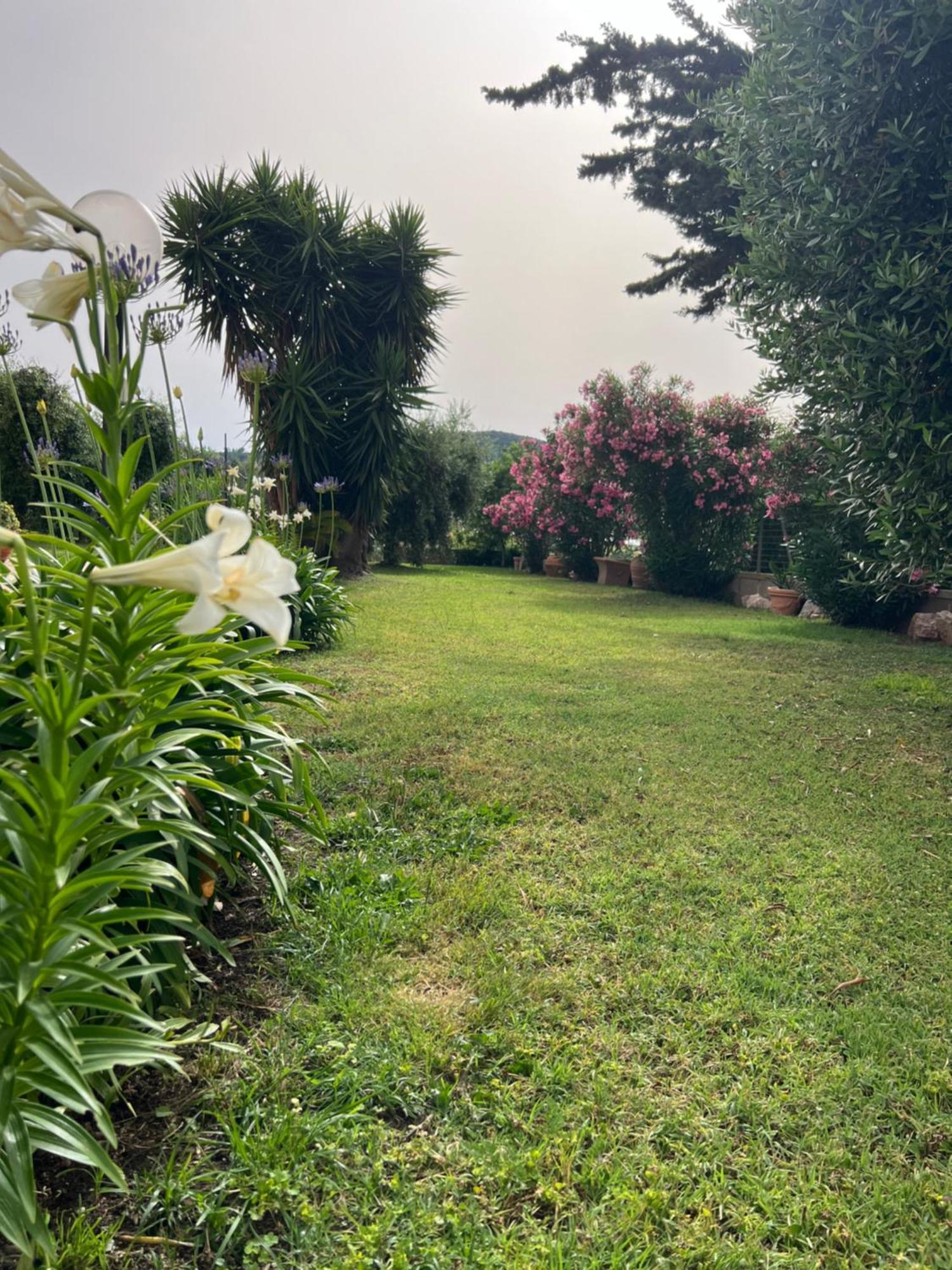 Agriturismo Il Giardino Degli Olivi Appartamenti กาส์ตีจลิโอเน เดลลา เปสกายา ภายนอก รูปภาพ