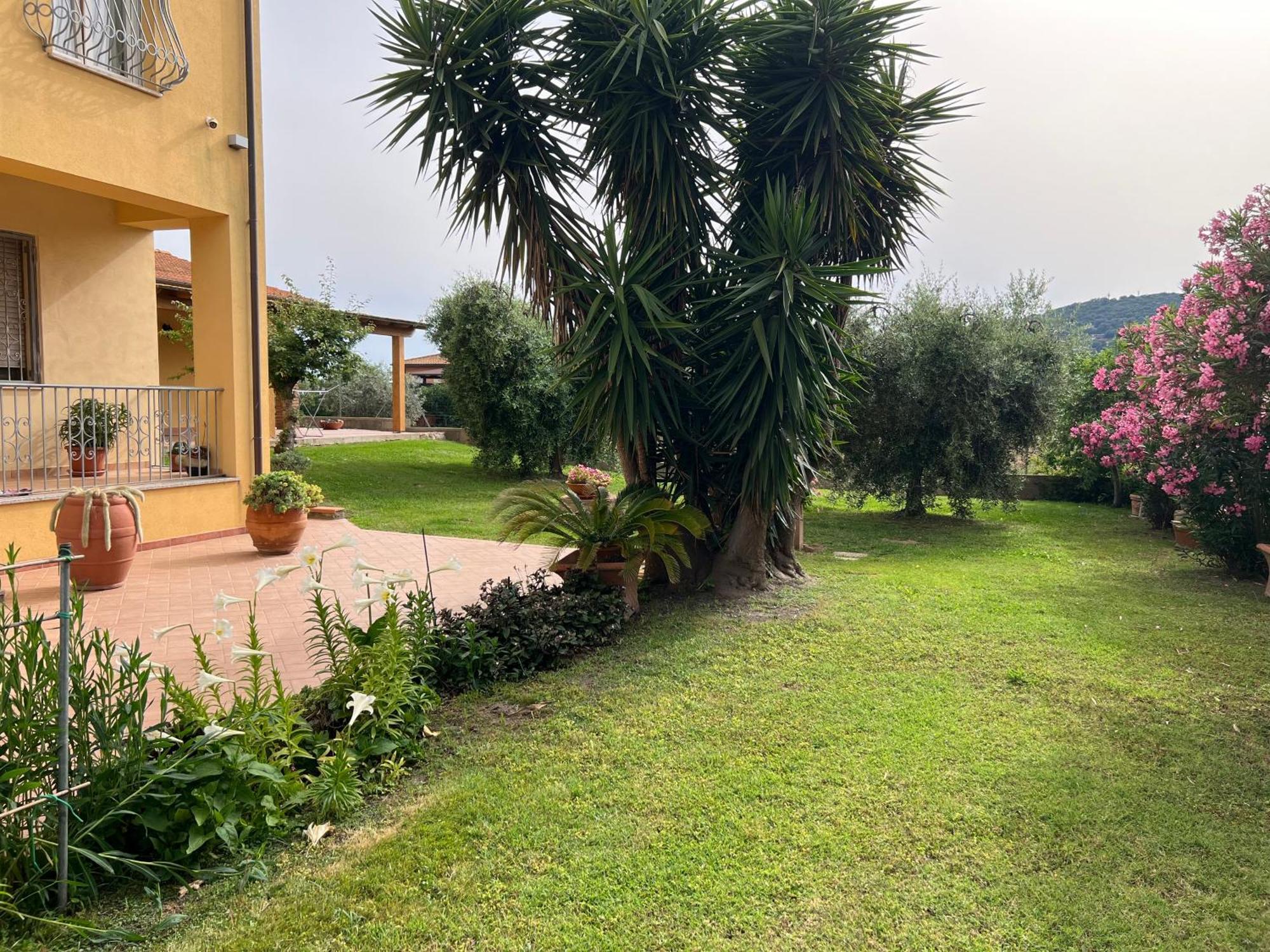 Agriturismo Il Giardino Degli Olivi Appartamenti กาส์ตีจลิโอเน เดลลา เปสกายา ภายนอก รูปภาพ